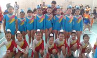 Đội Arobic năm 2015-2016