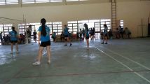 Bóng chuyền năm 2015-2016