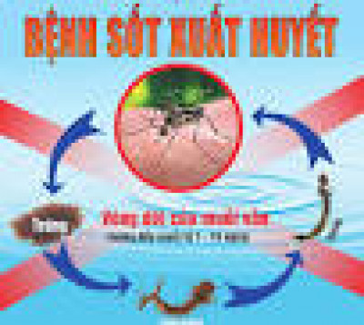 Phòng chống bệnh sốt xuất huyết
