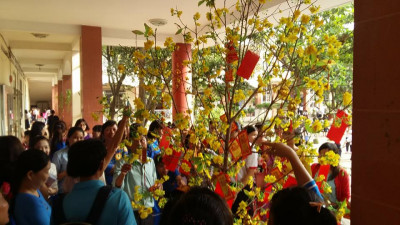 Hái lộc đầu năm 2016 (Xuân Bính Thân)
