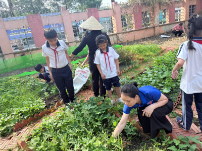 Trường TH Phú Hòa 2 tổ chức lao động tổng vệ sinh môi trường và trồng cây nhân ngày giải phóng Miền Nam 30/4 và Quốc tế Lao động 1/5