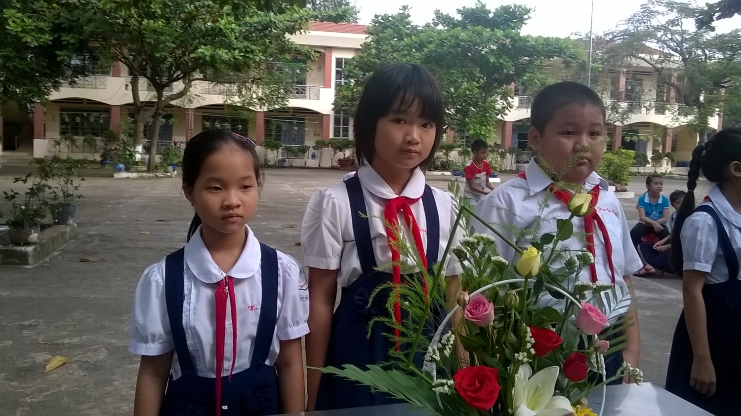 wp 20151114 08 14 59 pro copy