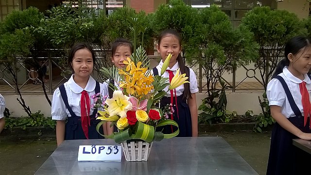 wp 20151114 08 16 46 pro copy 1